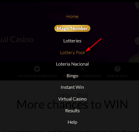 Join a Syndicate at SA Lotto
